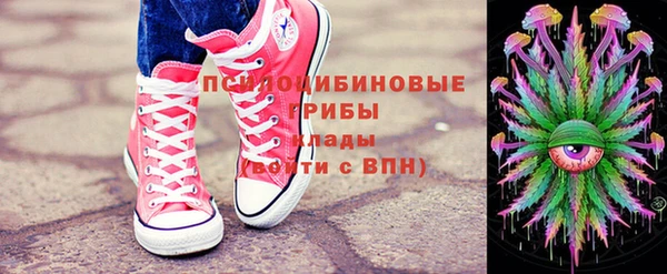 молекула духа Алзамай