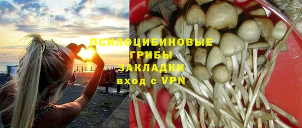 a pvp Алексин
