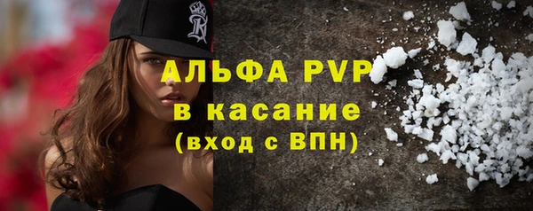дмт Инта
