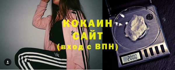 молекула духа Козловка
