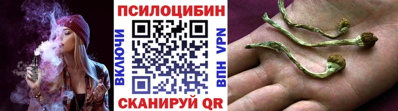 нарко площадка официальный сайт  Санкт-Петербург  Псилоцибиновые грибы Psilocybe 